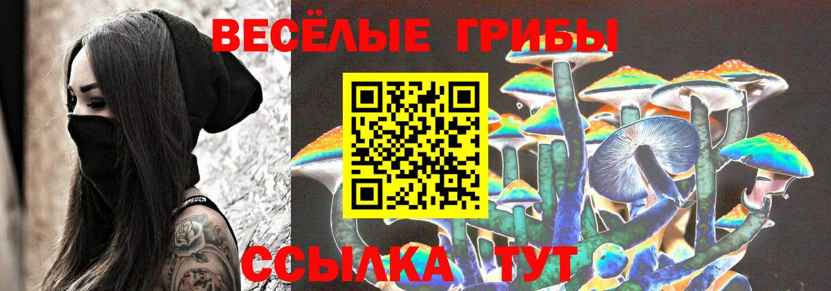 Галлюциногенные грибы Psilocybe Воткинск